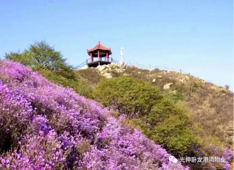 云顶集团(中国区)官方网站