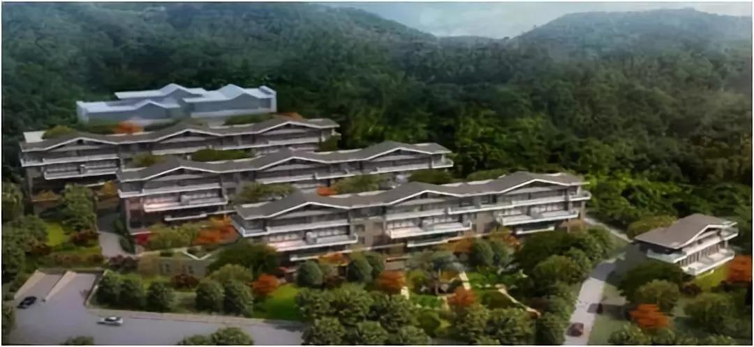 云顶集团(中国区)官方网站